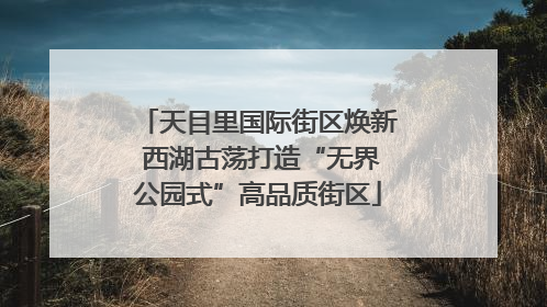 天目里国际街区焕新 西湖古荡打造“无界公园式”高品质街区