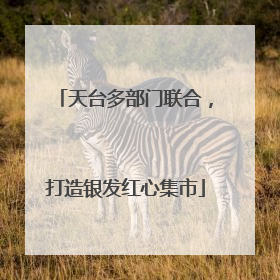 天台多部门联合，打造银发红心集市