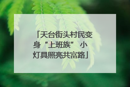 天台街头村民变身“上班族” 小灯具照亮共富路