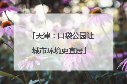 天津：口袋公园让城市环境更宜居