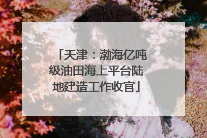 天津：渤海亿吨级油田海上平台陆地建造工作收官
