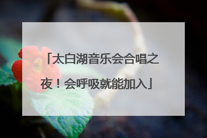 太白湖音乐会合唱之夜！会呼吸就能加入