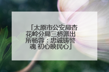 太原市公安局杏花岭分局三桥派出所杨蓉：忠诚铸警魂 初心映民心