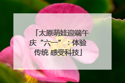 太原萌娃迎端午庆“六一”：体验传统 感受科技