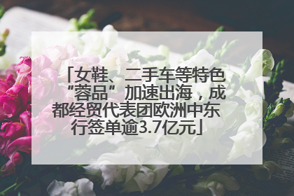 女鞋、二手车等特色“蓉品”加速出海，成都经贸代表团欧洲中东行签单逾3.7亿元