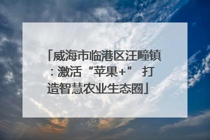 威海市临港区汪疃镇：激活“苹果+” 打造智慧农业生态圈