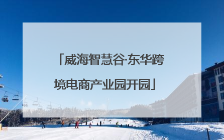 威海智慧谷·东华跨境电商产业园开园