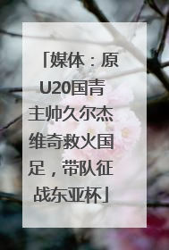 媒体：原U20国青主帅久尔杰维奇救火国足，带队征战东亚杯
