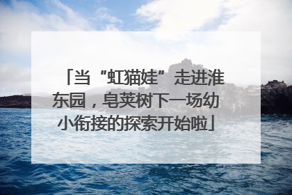 当“虹猫娃”走进淮东园，皂荚树下一场幼小衔接的探索开始啦