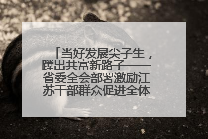 当好发展尖子生，蹚出共富新路子——省委全会部署激励江苏干部群众促进全体人民共同富裕