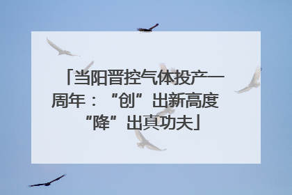 当阳晋控气体投产一周年：“创”出新高度 “降”出真功夫