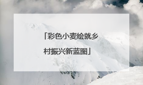 彩色小麦绘就乡村振兴新蓝图