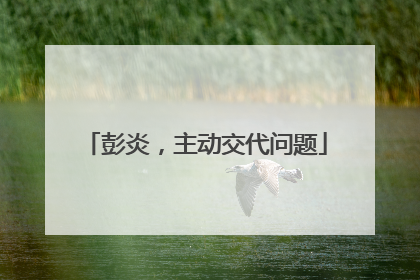 彭炎，主动交代问题