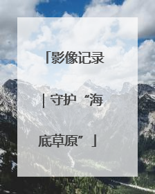 影像记录｜守护“海底草原”