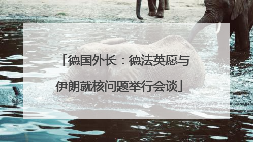 德国外长：德法英愿与伊朗就核问题举行会谈