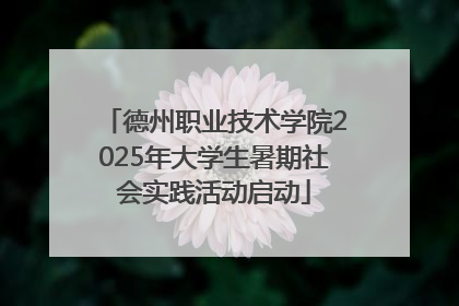德州职业技术学院2025年大学生暑期社会实践活动启动