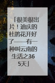 很美很出片！迪庆的杜鹃花开好了——有一种叫云南的生活之365天