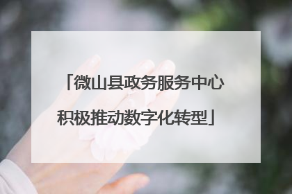 微山县政务服务中心积极推动数字化转型