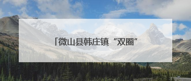 微山县韩庄镇“双圈”融合织就民生幸福网