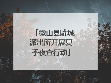 微山县驩城派出所开展夏季夜查行动