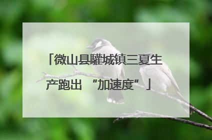 微山县驩城镇三夏生产跑出 “加速度”