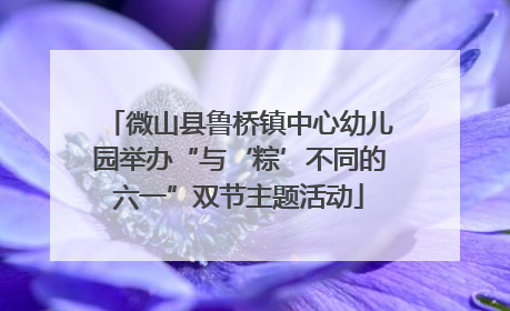 微山县鲁桥镇中心幼儿园举办“与‘粽’不同的六一”双节主题活动