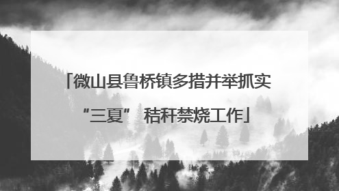 微山县鲁桥镇多措并举抓实 “三夏” 秸秆禁烧工作