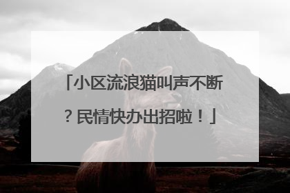 小区流浪猫叫声不断？民情快办出招啦！