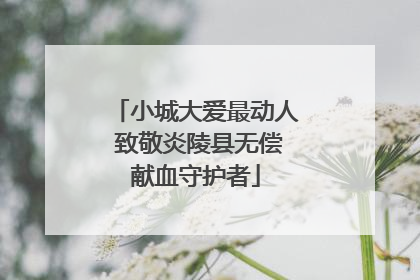 小城大爱最动人 致敬炎陵县无偿献血守护者