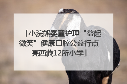 小浣熊婴童护理“益起微笑”健康口腔公益行点亮西藏12所小学