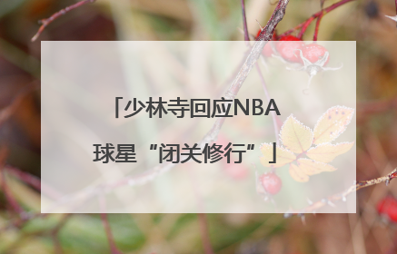 少林寺回应NBA球星“闭关修行”