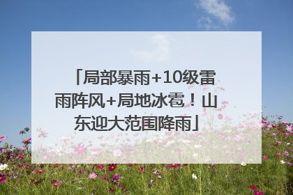 局部暴雨+10级雷雨阵风+局地冰雹！山东迎大范围降雨