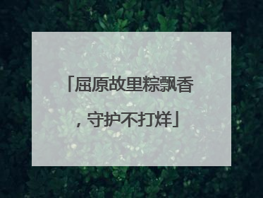 屈原故里粽飘香，守护不打烊
