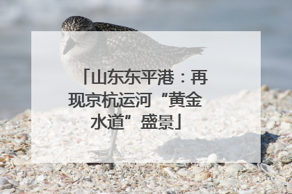 山东东平港：再现京杭运河“黄金水道”盛景