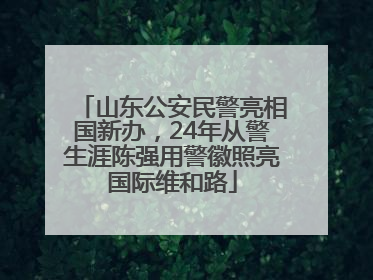 山东公安民警亮相国新办，24年从警生涯陈强用警徽照亮国际维和路