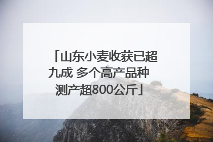 山东小麦收获已超九成 多个高产品种测产超800公斤