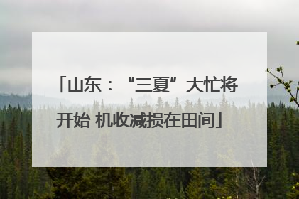 山东：“三夏”大忙将开始 机收减损在田间