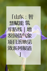 山东：智慧赋能 筑牢防线｜增发国债气象项目落地见效系列报道