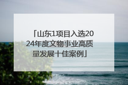 山东1项目入选2024年度文物事业高质量发展十佳案例