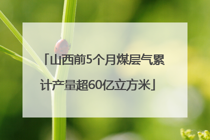 山西前5个月煤层气累计产量超60亿立方米