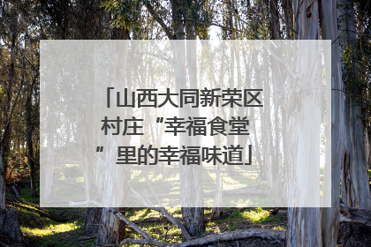 山西大同新荣区 村庄“幸福食堂”里的幸福味道