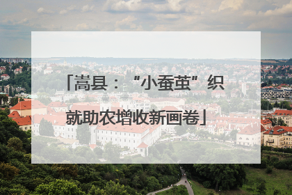 嵩县：“小蚕茧”织就助农增收新画卷