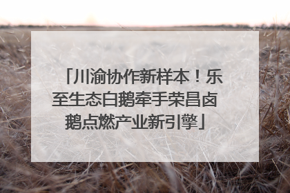 川渝协作新样本！乐至生态白鹅牵手荣昌卤鹅点燃产业新引擎