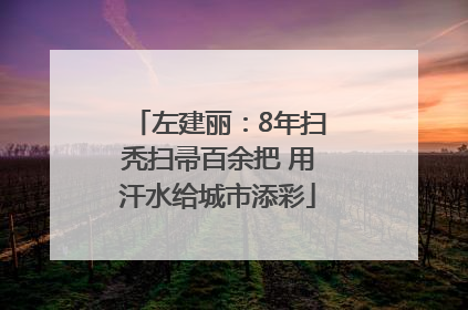 左建丽：8年扫秃扫帚百余把 用汗水给城市添彩