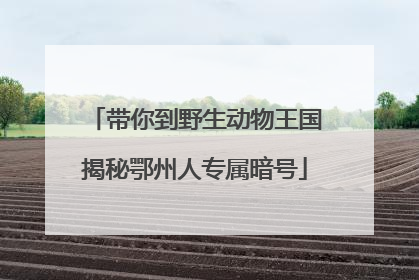 带你到野生动物王国揭秘鄂州人专属暗号