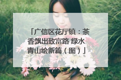 广信区花厅镇：茶香飘出致富路 绿水青山绘新篇（图）
