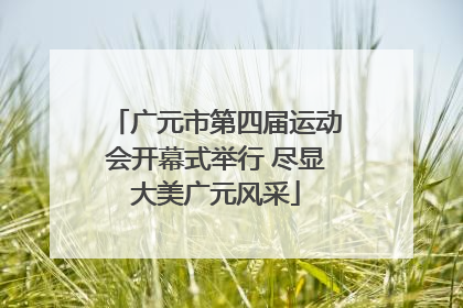 广元市第四届运动会开幕式举行 尽显大美广元风采