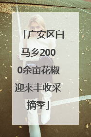 广安区白马乡2000余亩花椒迎来丰收采摘季