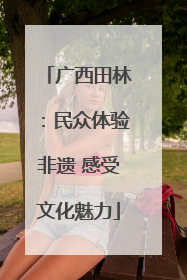 广西田林：民众体验非遗 感受文化魅力