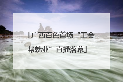 广西百色首场“工会帮就业”直播落幕